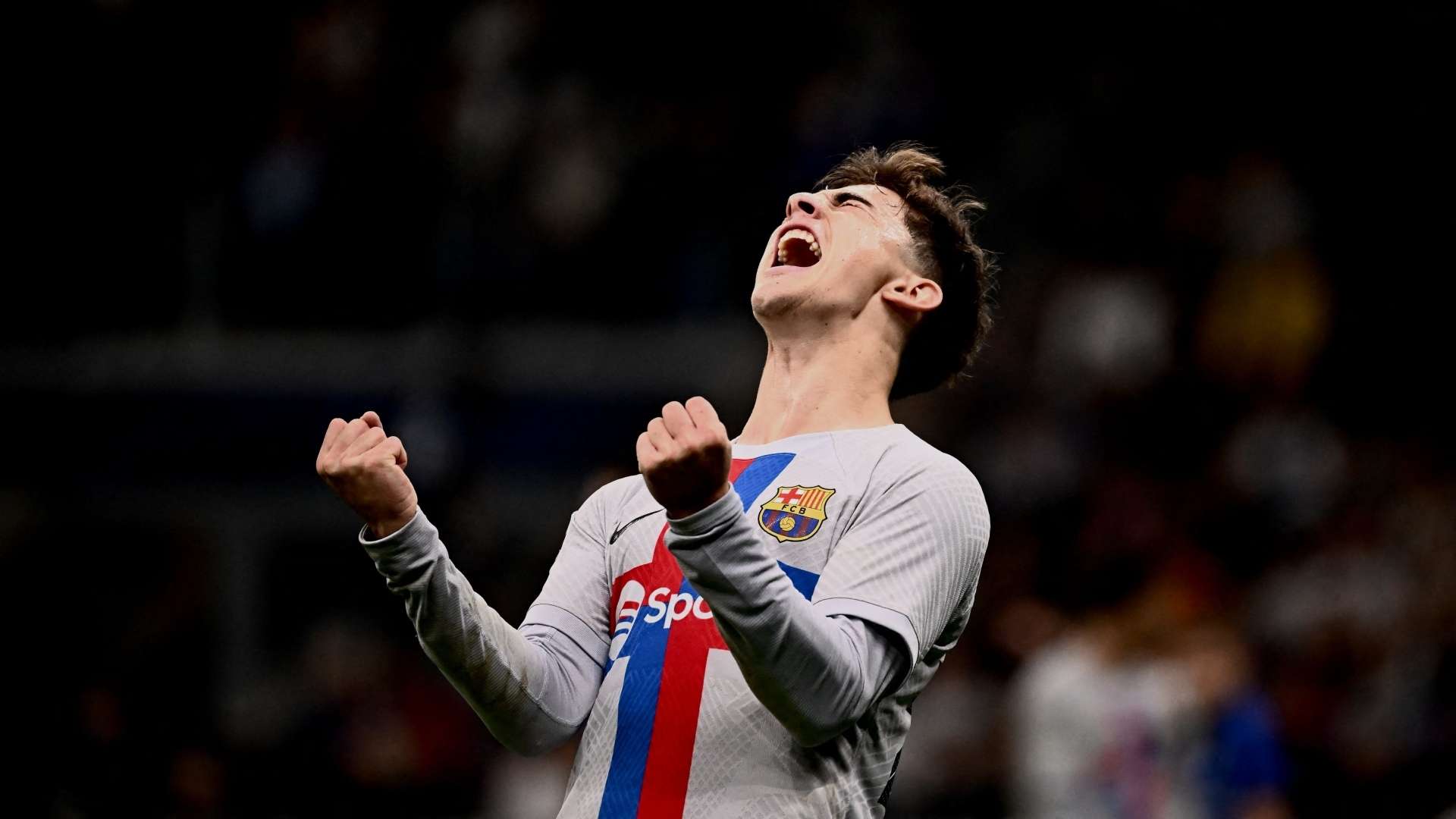 提供了大量 提供了大量